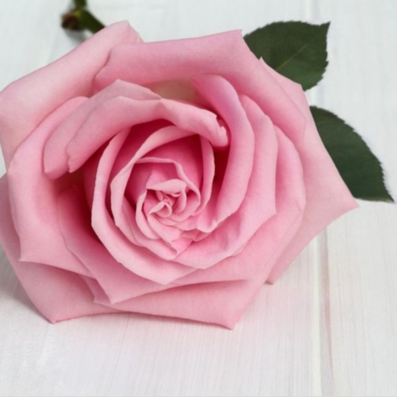 bloomngpnkspell
